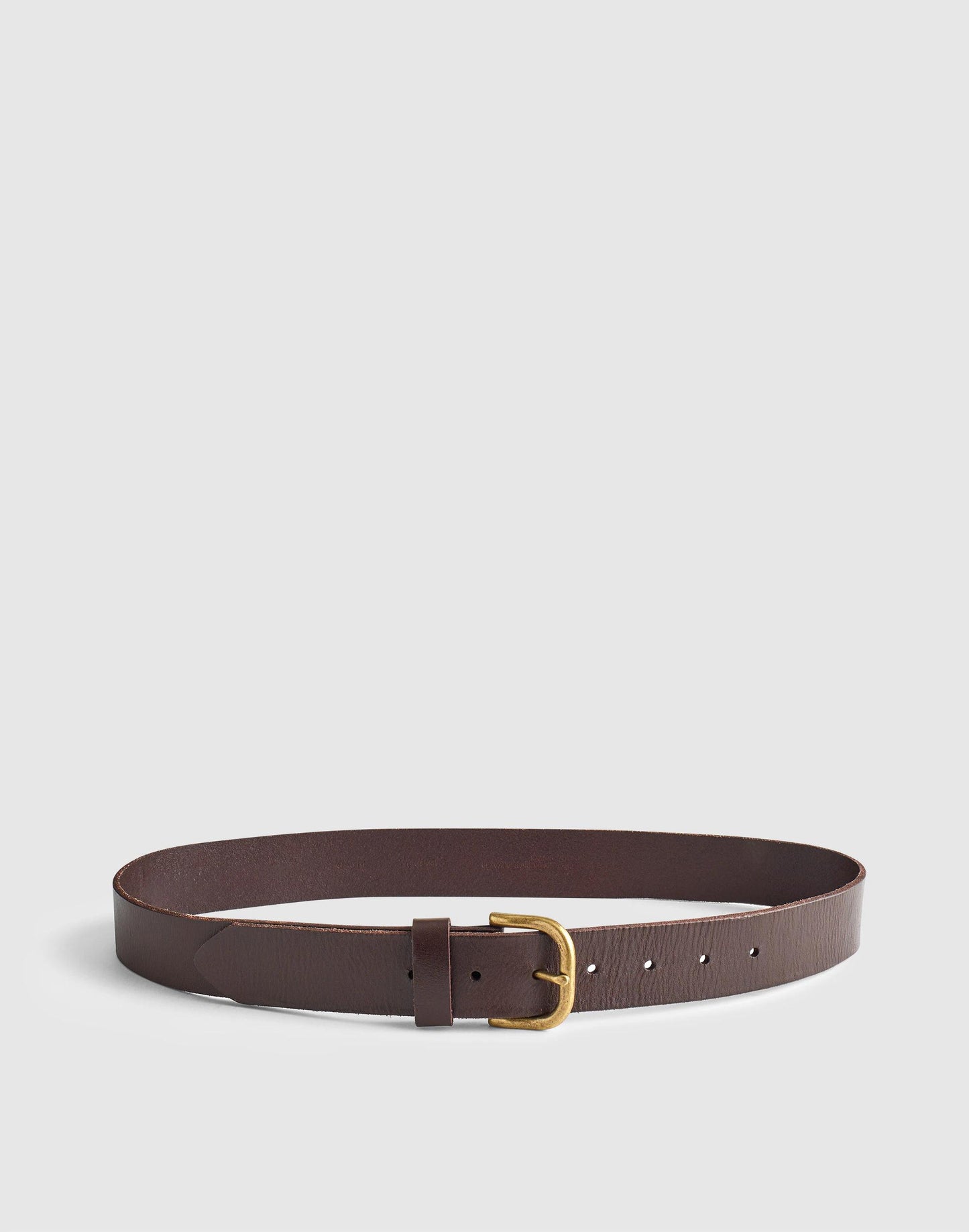The Everyday Belt in Leather Coffee Bean | Madewell