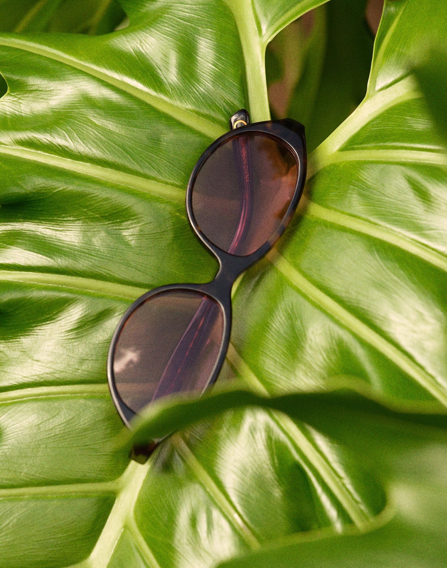 The Solina Oval Sunglasses Whisky Tort | Madewell