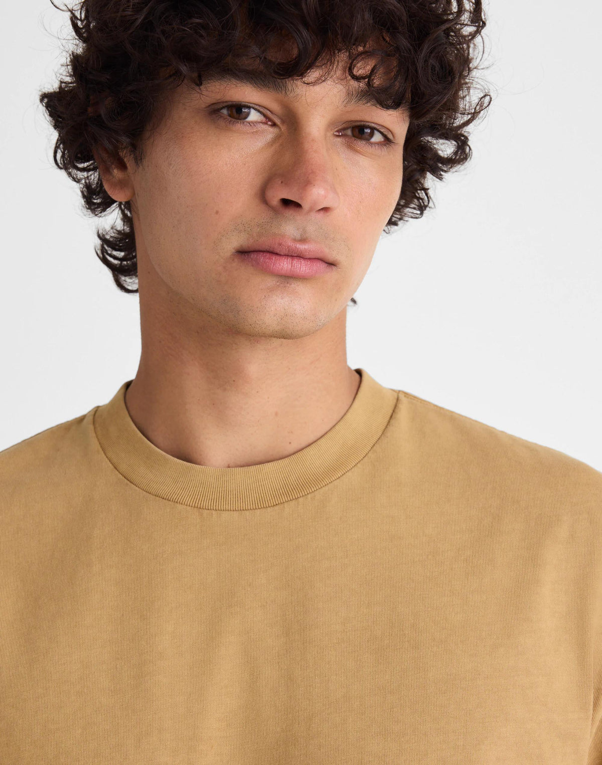 The Vintage Tee Golden Khaki | Madewell