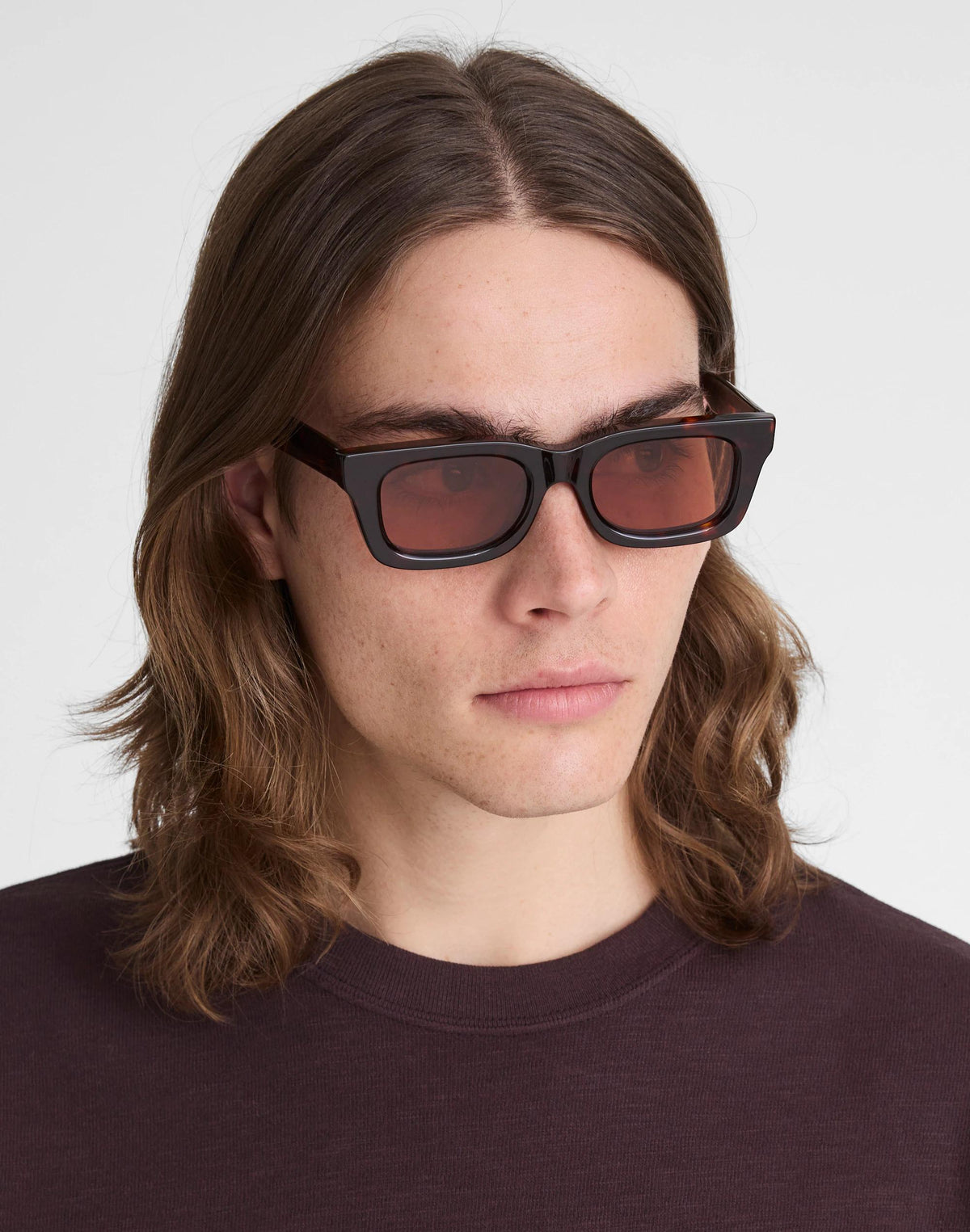 The Bowery Sunglasses Black Tort Multi | Madewell