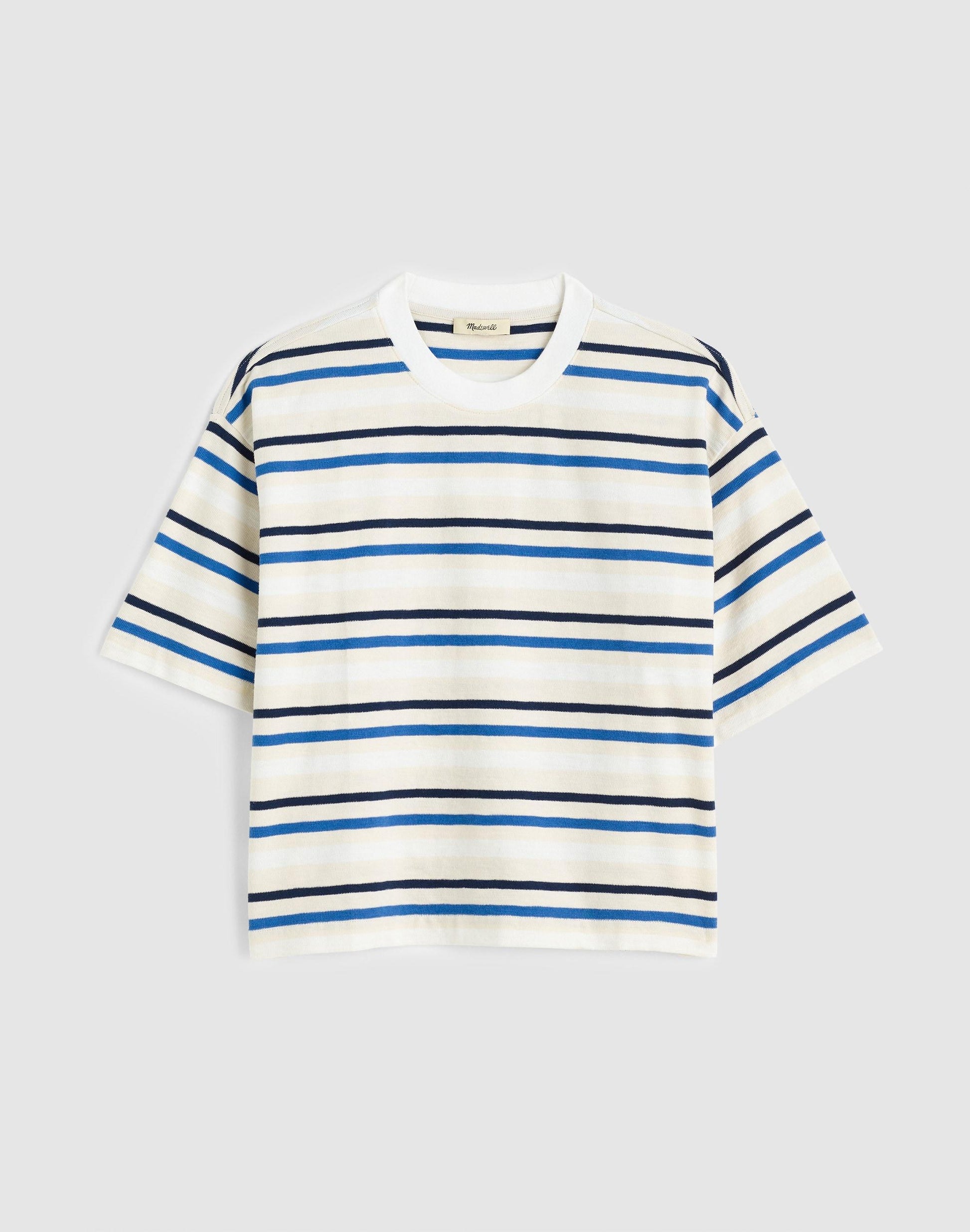 The Easy Crewneck Short-Sleeve Tee Variegated Slub Stripe | Madewell