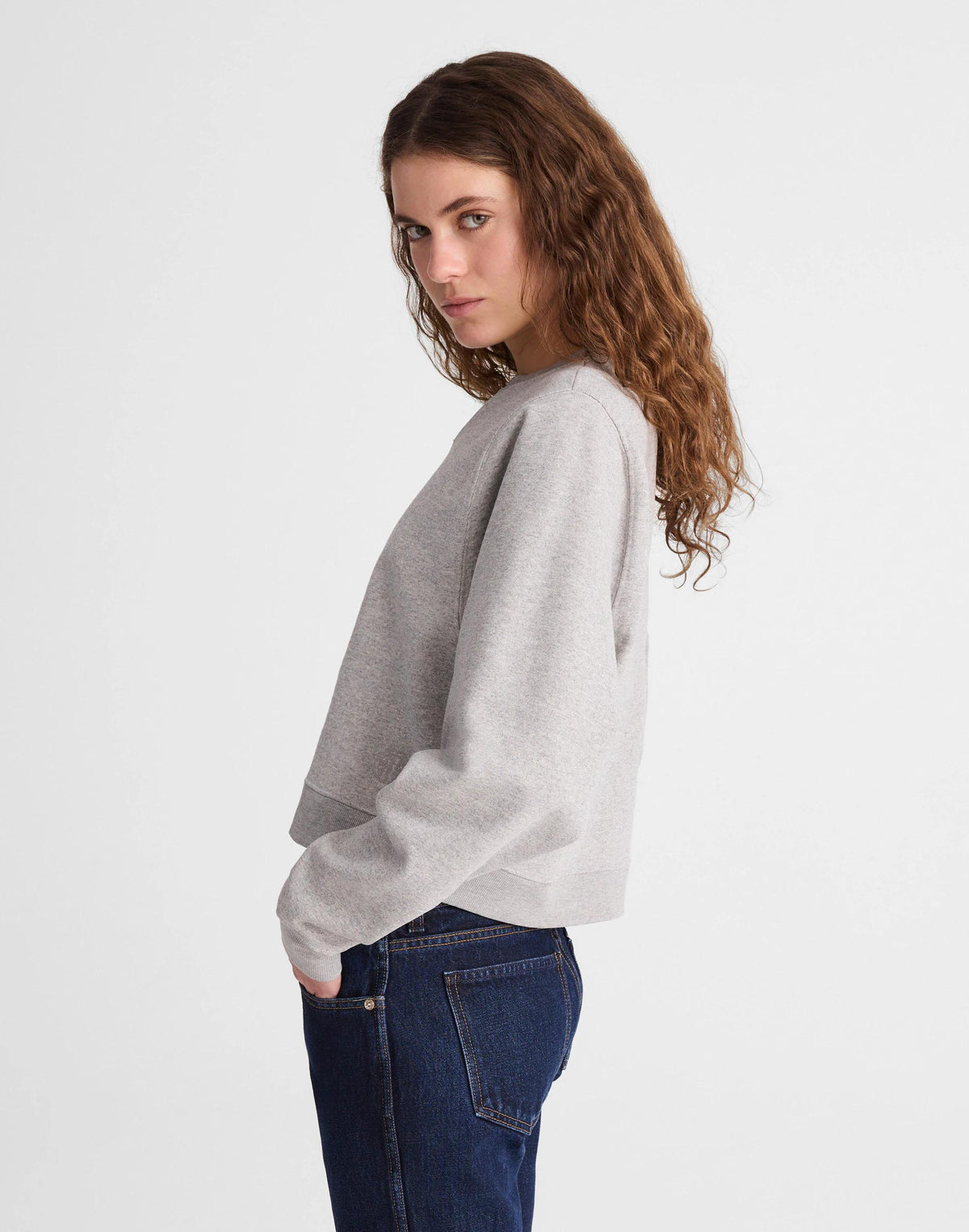 Madewell x Benjamin Talley Smith The Armory Classic Sweatshirt Hthr Grey | Madewell