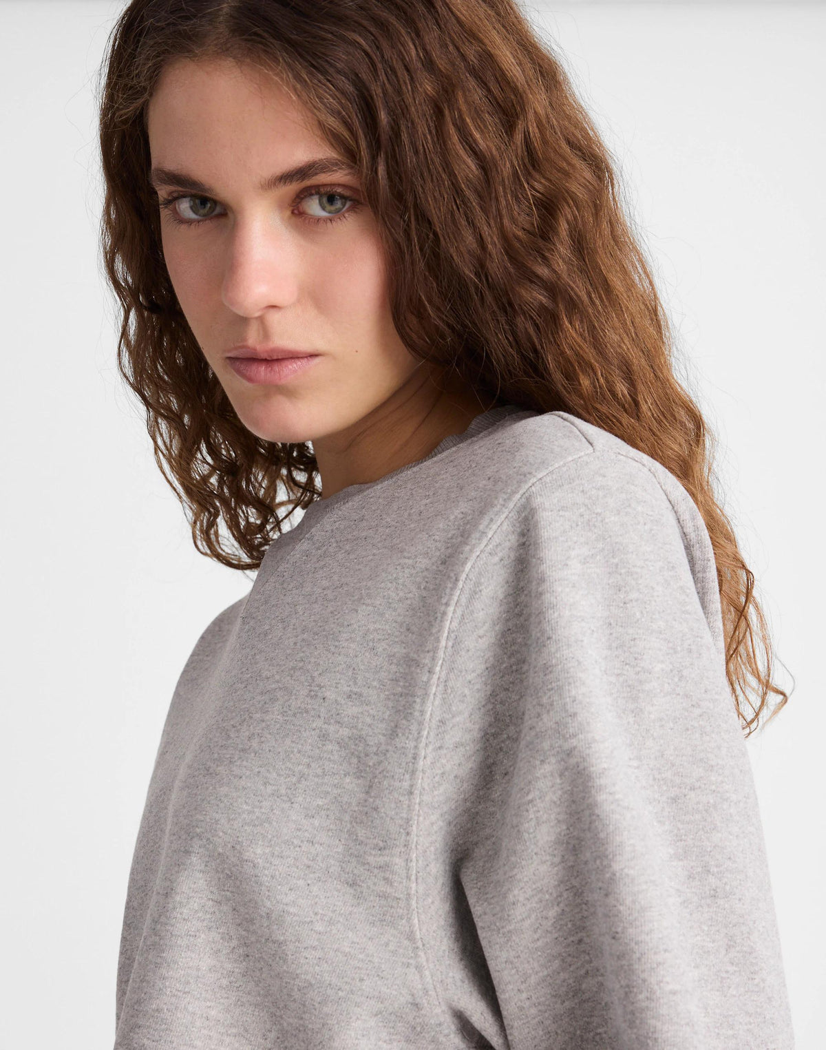 Madewell x Benjamin Talley Smith The Armory Classic Sweatshirt Hthr Grey | Madewell