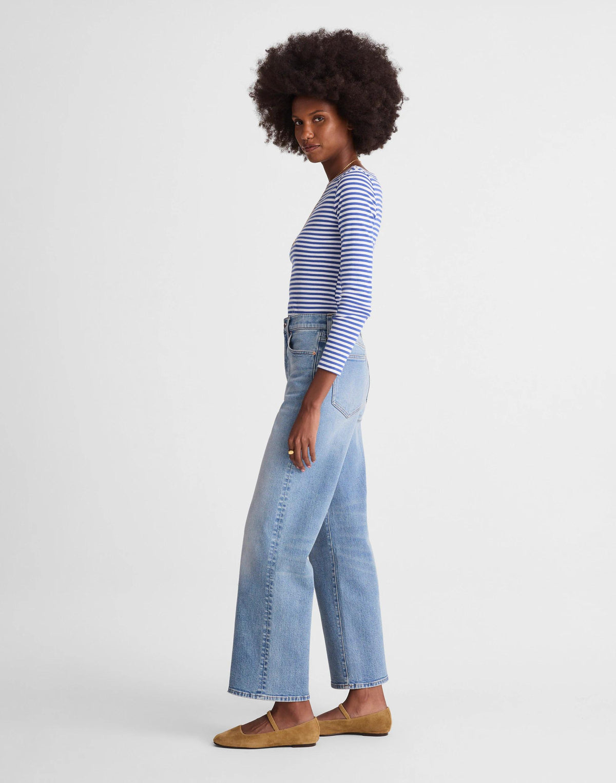 The Petite Perfect Vintage Wide-Leg Crop Jean Raebrook Wash | Madewell