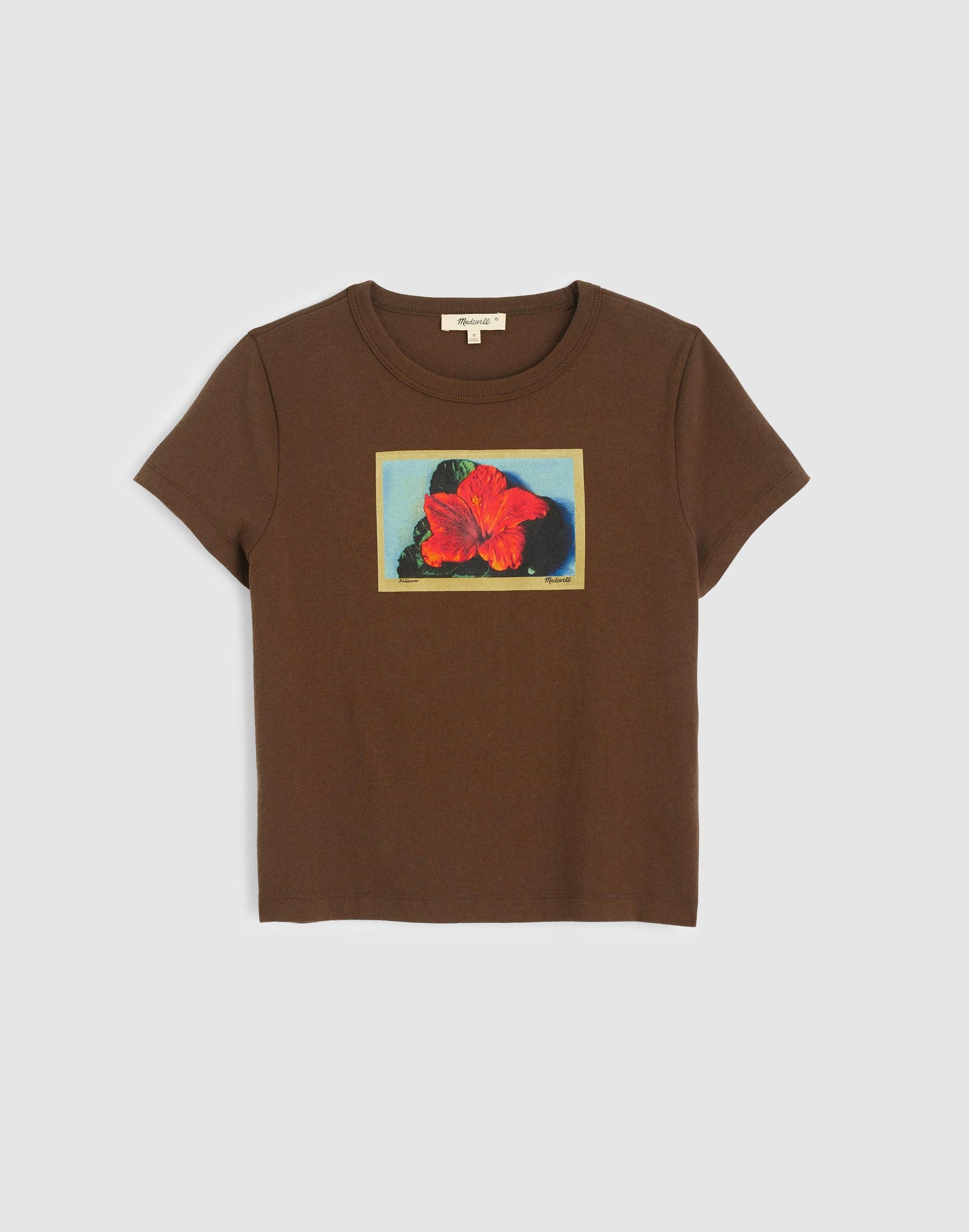 The Relaxed Baby Tee in Vintage Jersey Tropical Graphic Print | Madewell