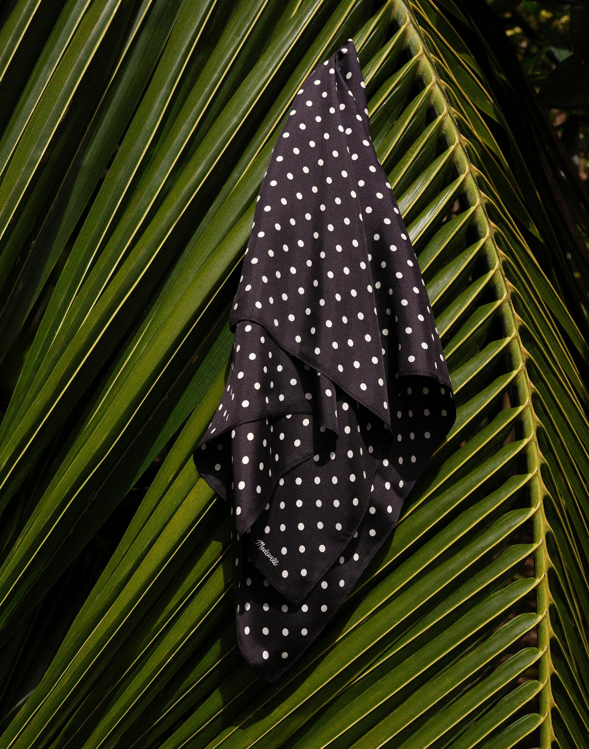Medium Silk Bandana Mid Dot Jet Black | Madewell