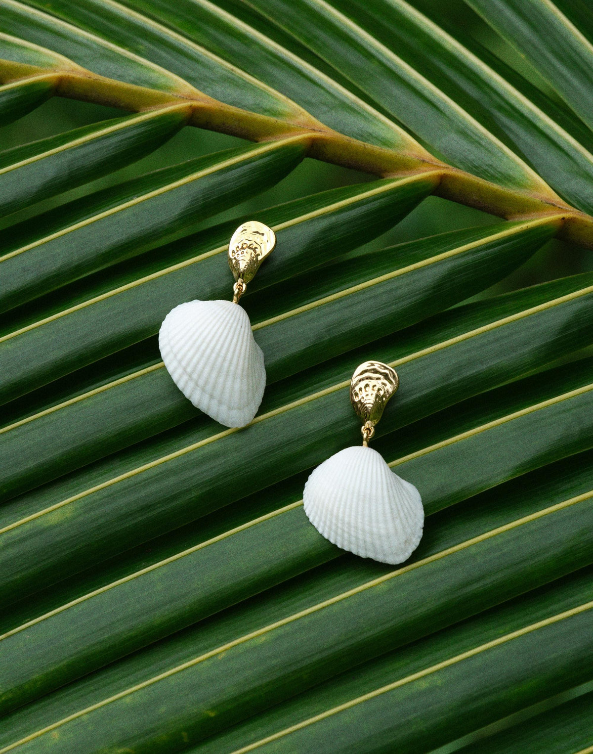 Madewell x Shopbop Mixed Shell Drop Earrings Antique Gold | Madewell
