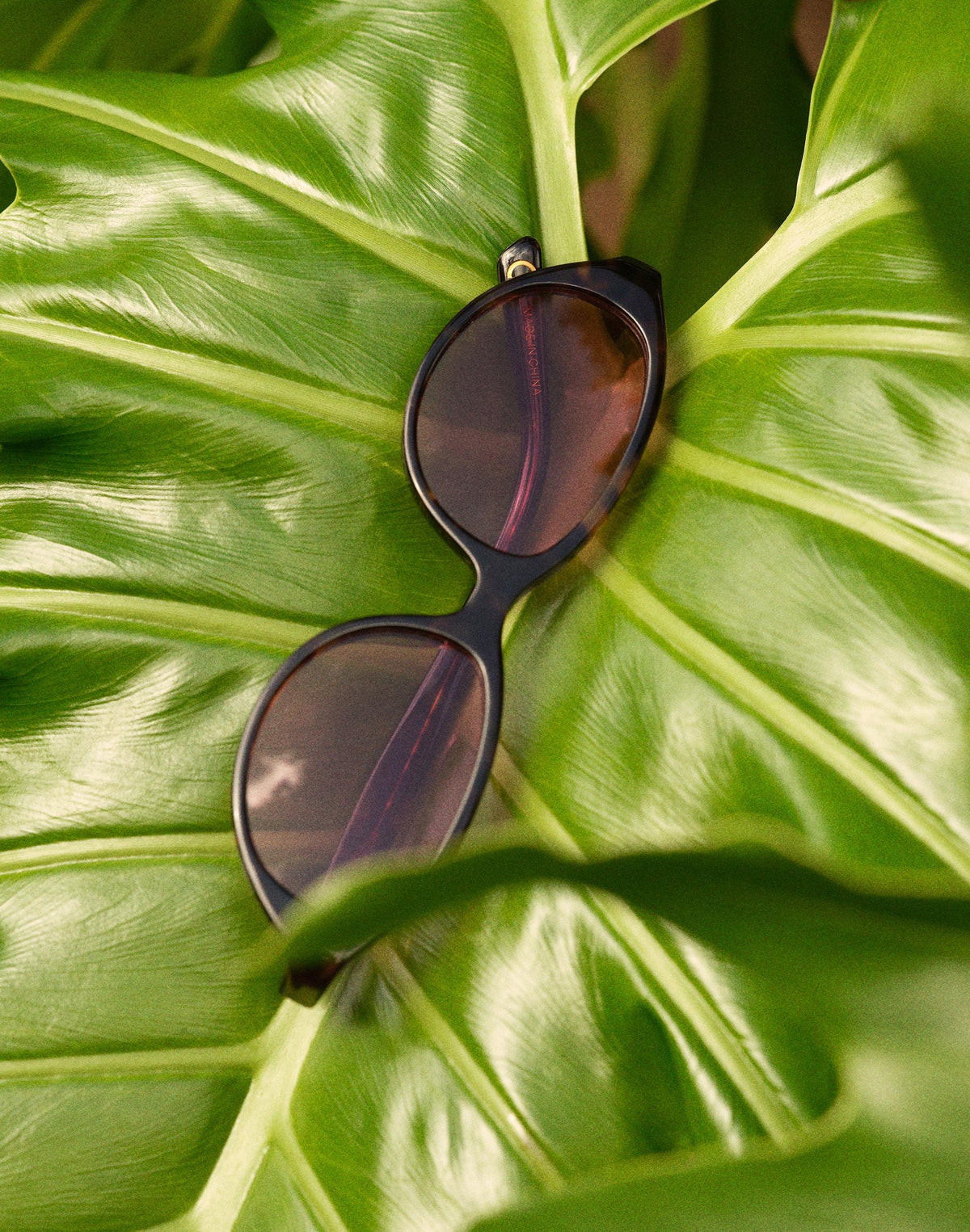 The Solina Oval Sunglasses Whisky Tort | Madewell
