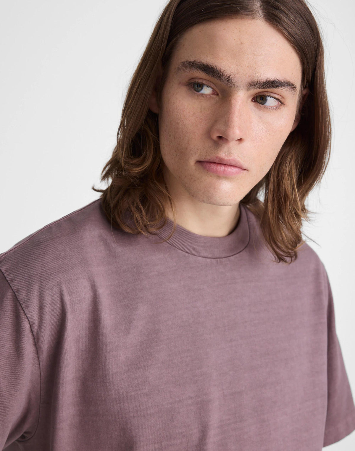 The Vintage Tee Chalked Fig | Madewell