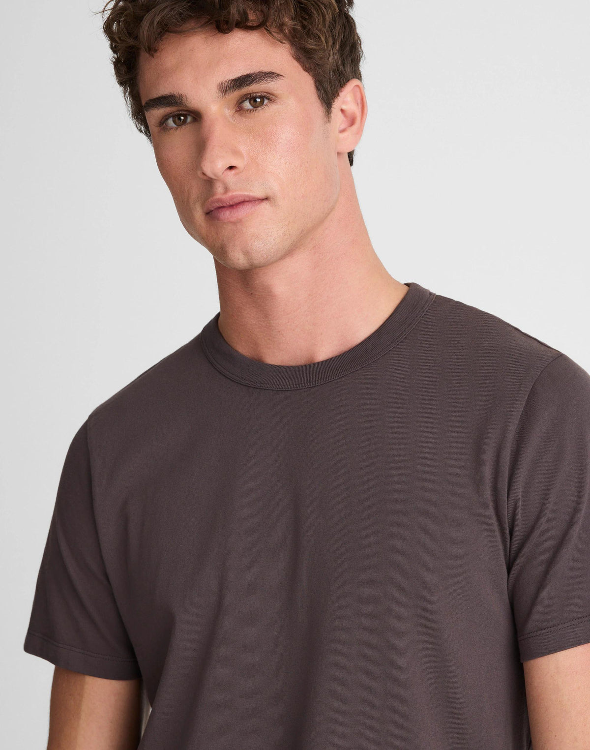 Garment-Dyed Allday Crewneck Tee Black Coal | Madewell