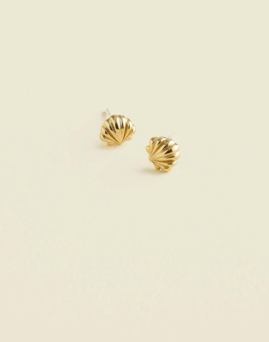 Demi-Fine Shell Stud Earrings 14k Gold | Madewell